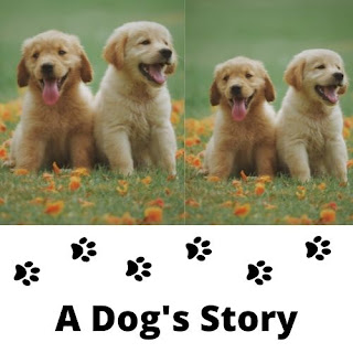 A Dog’s Purpose Movie Story in Hindi