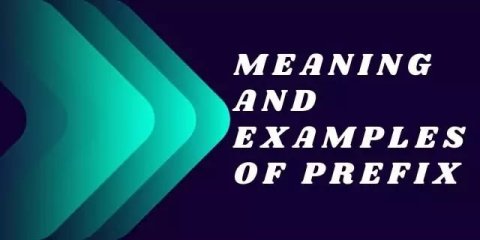 Meaning of Prefix in hindi (उपसर्ग )- Definition and Examples
