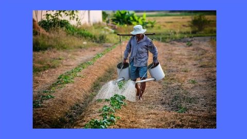 An English Essay on An Autobiography of Farmer – 300 words